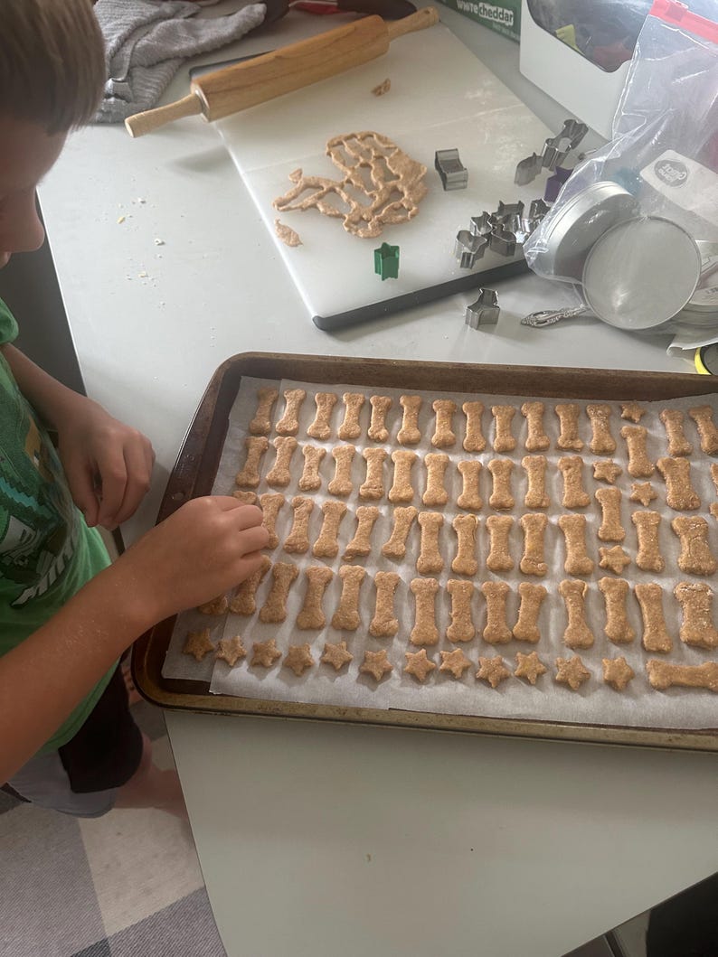 May include: A child is arranging homemade dog treats on a baking sheet. The treats are shaped like bones and stars. The baking sheet is lined with parchment paper.