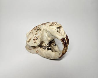 ビーバーの頭蓋骨 - Etsy 日本