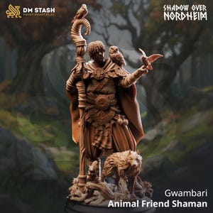 Könnte beinhalten: Detaillierte braune Figur eines Tierfreund-Schamanen, der einen Stab mit Vögeln und einer Eule auf der Schulter hält. Ein Wolf steht zu seinen Füßen. Der Text "Shadow Over Nordheim" und "DM Stash" sind sichtbar.
