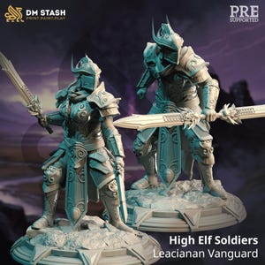 May include: Two gray plastic miniature figures of High Elf soldiers, wearing detailed armor and holding swords. The figures are standing on circular bases. The text "High Elf Soldiers Leacianan Vanguard" is printed below the figures.