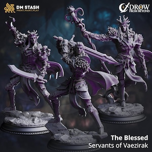 May include: Three purple fantasy figurines of elves in dynamic poses, holding weapons and a staff. The figures are on rocky bases. The text "The Blessed Servants of Vaezirak" is at the bottom, with logos for "DM STASH" and "DROW FROM BEYOND" at the top.