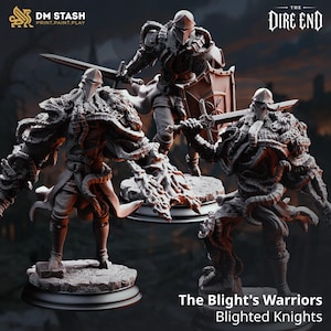 May include: Three grey miniature knight figurines titled The Blight's Warriors Blighted Knights. Each figure wears a pointed helmet, textured armor, and a fur-lined cloak. They are posed with swords and shields on circular bases with rocky details.