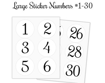 NUMBERS #1-#30 STICKERS Sequential, Large 3-1/3" Circle Labels Consecutive,Number Sticker,Self Adhesive Label,Peel and Stick,Auction Numbers