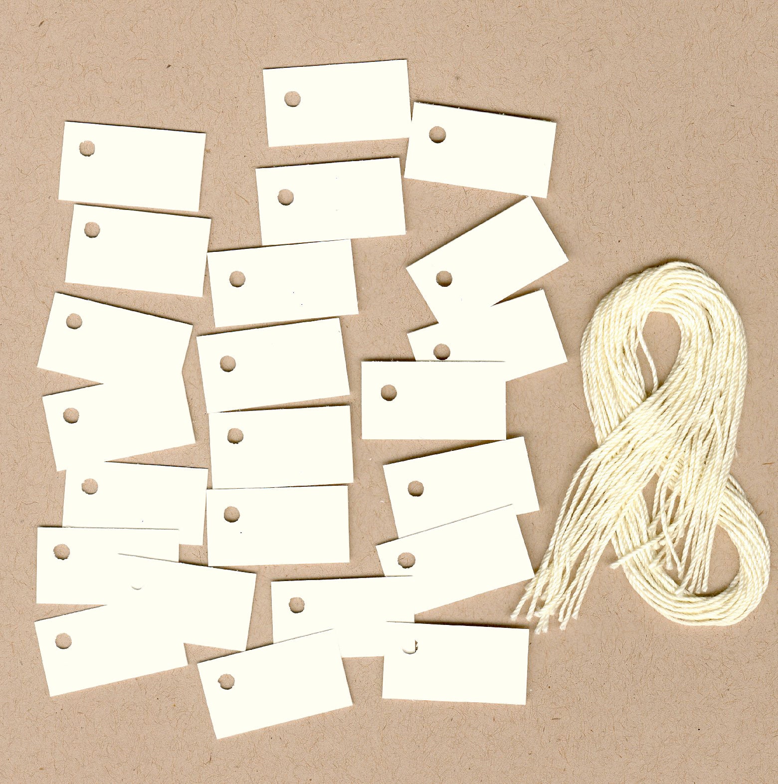 Bulk Ivory Paper Tags (Assorted Sizes Available)