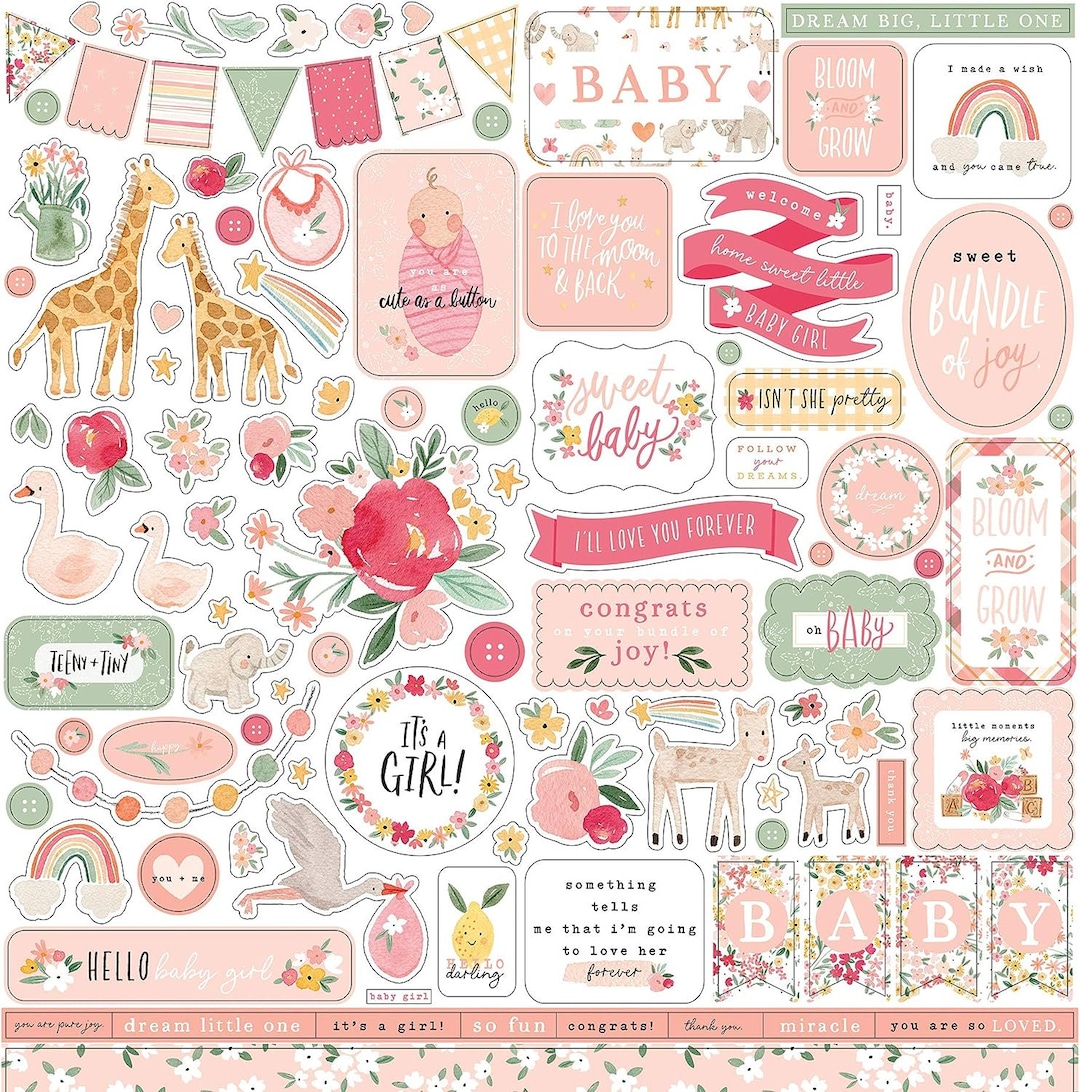 Welcome Baby Girl Stickers 12x12 Echo Park Pink Baby Scrapbook Stickers