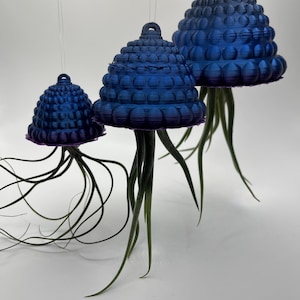 3D gedruckte Quallen Luftpflanze: Wunderliche botanische Skulptur