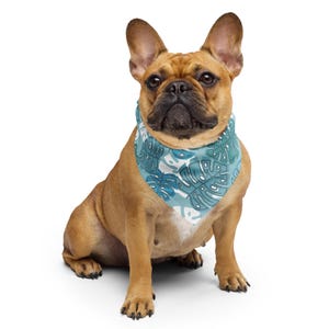 Bandana de espuma de mar Monstera para perros y humanos