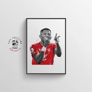 Nottingham Forest Art Print - Danilo Print