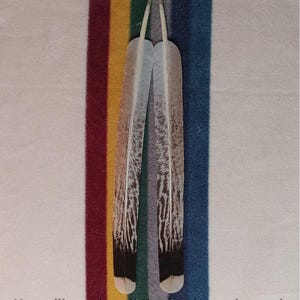 Op de afbeelding: Twee grote, patroonveren met donkerbruine en witte markeringen, afgebeeld tegen een gestreepte achtergrond van wit, rood, geel, groen en blauw. De tekst onderaan luidt: "U ontvangt alle afgebeelde veren."