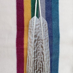 Peut inclure: Deux plumes blanches et brunes à motifs avec des pointes brun foncé, affichées sur un fond rayé coloré.