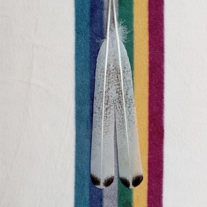 Peut inclure: Deux plumes blanches avec des pointes noires, sur un fond de rayures colorées dans les tons de bleu, vert, jaune et rouge.