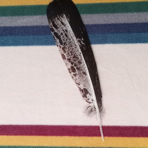 Puede incluir: Una sola pluma con un patrón en blanco y negro, sobre una manta a rayas con rayas burdeos, amarillas, verdes, grises y azules. El texto en la parte inferior dice: "Recibirás la pluma que se muestra."