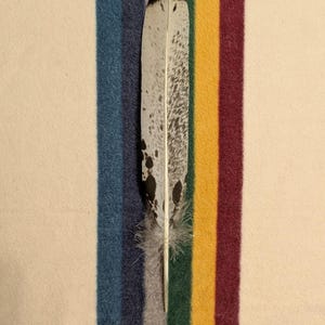 T161 - Trimmed Tail Feather
