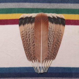 F130 - Penciled Fan Set With Two Centers