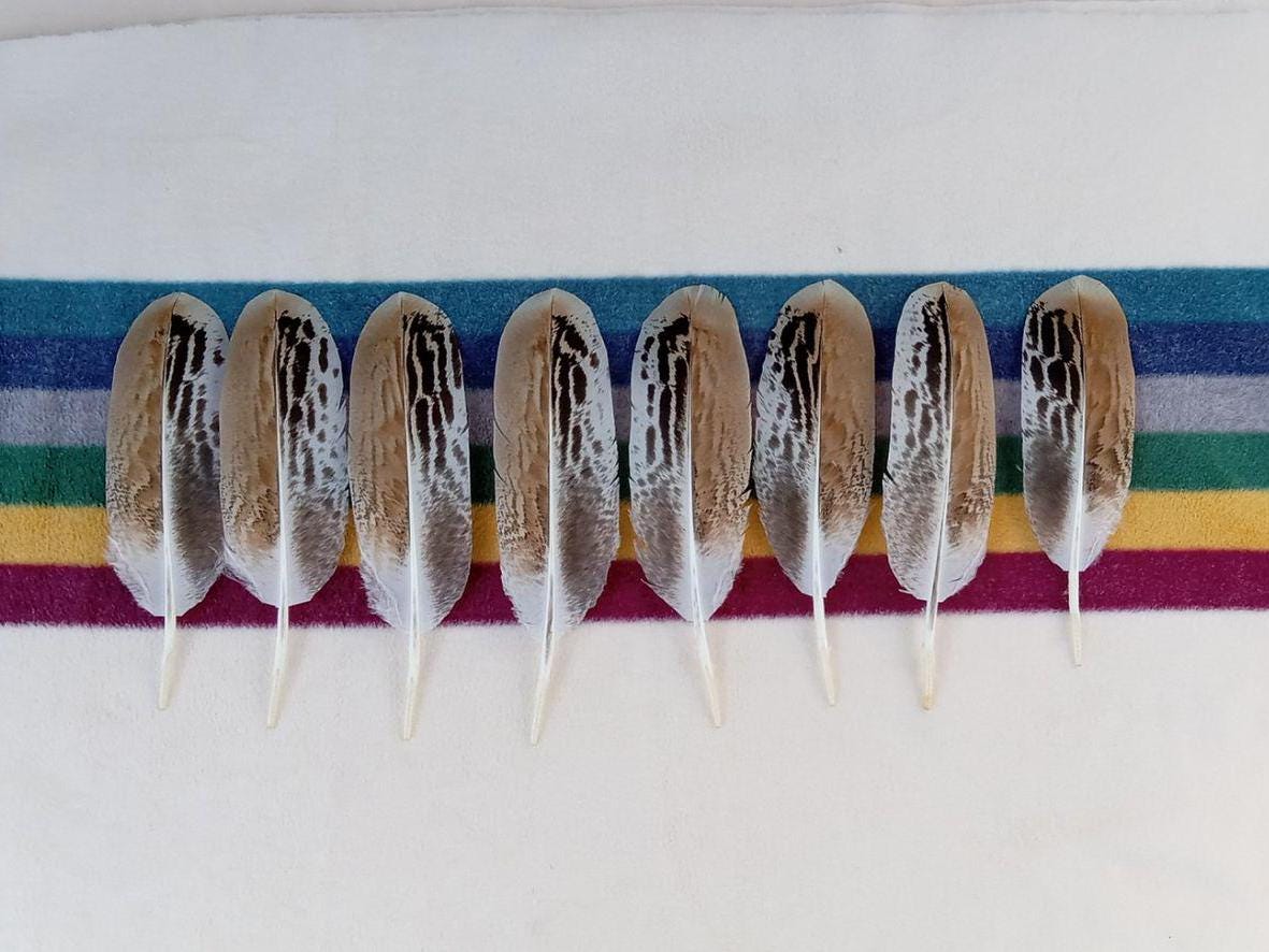 840 - Dream Catcher & Powwow Dangles