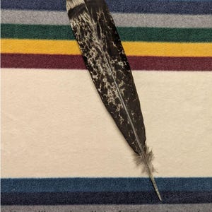 Peut inclure: Une plume unique avec un motif noir et blanc, posée sur un fond en tissu rayé. Le fond présente des rayures horizontales de différentes couleurs, dont le bleu, le vert, le jaune et le bordeaux. Le texte en bas dit : "You will receive all the feathers pictured."