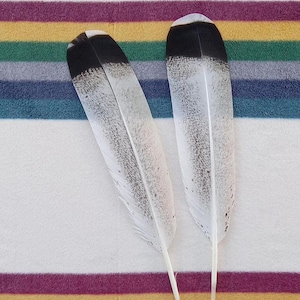 Peut inclure: Deux plumes blanches avec des pointes noires, posées sur un tissu rayé multicolore.