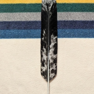 Peut inclure: Une grande plume unique avec un motif tacheté noir et blanc, sur un fond de rayures horizontales colorées. La plume est centrée et a une tige blanche. Le texte en bas indique : "Vous recevrez toutes les plumes illustrées."
