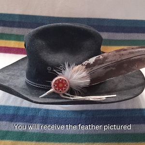 V105 - Decorated Cowboy Hat Feather