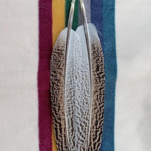 Peut inclure: Deux longues plumes à motifs brun et blanc avec une pointe brun clair. Les plumes sont disposées verticalement, les pointes pointant vers le haut. Les plumes sont sur un fond rayé de bordeaux, or, vert, gris et bleu.