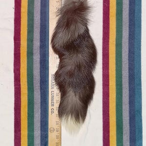 G505 - Silver Fox Tail
