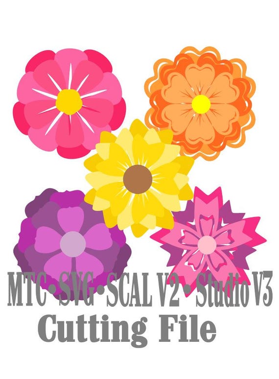 Free Free Flower Name Svg 349 SVG PNG EPS DXF File