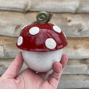 Puede incluir: Un recipiente de cerámica con forma de hongo, con una parte superior roja brillante y lunares blancos. La base es blanca moteada. Una pequeña figura de caracol verde se encuentra encima del hongo. El recipiente se sostiene en una mano.