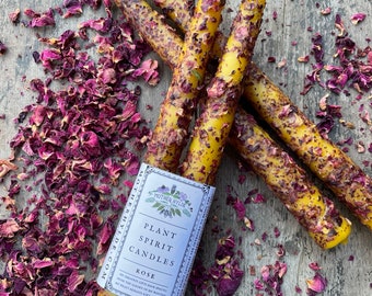 Rose Plant Spirit Candles beeswax hand dipped tapers rolled in dried rose petals Mother Hylde herbal candles altar love ritual Valentine's