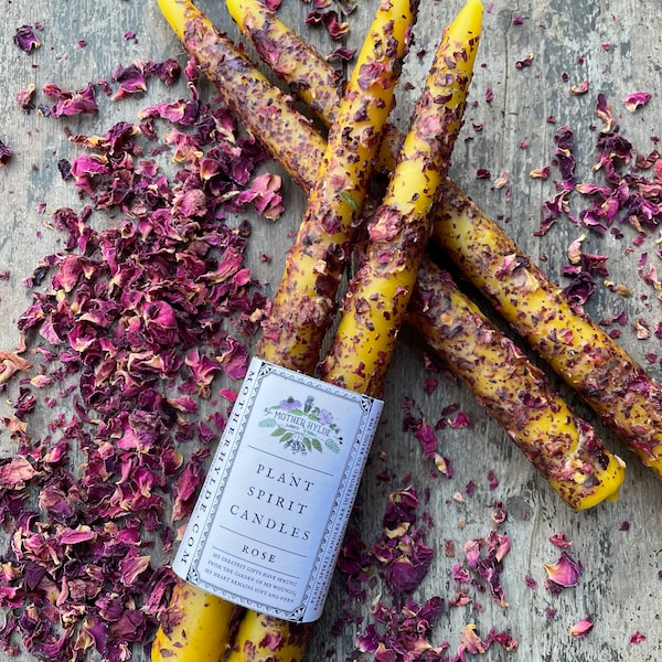 Rose Plant Spirit Candles beeswax hand dipped tapers rolled in dried rose petals Mother Hylde herbal candles altar love ritual Valentine's