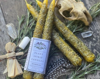 Rosemary Plant Spirit Candles beeswax hand dipped tapers rolled in rosemary Mother Hylde herbal candles altar Samhain ritual