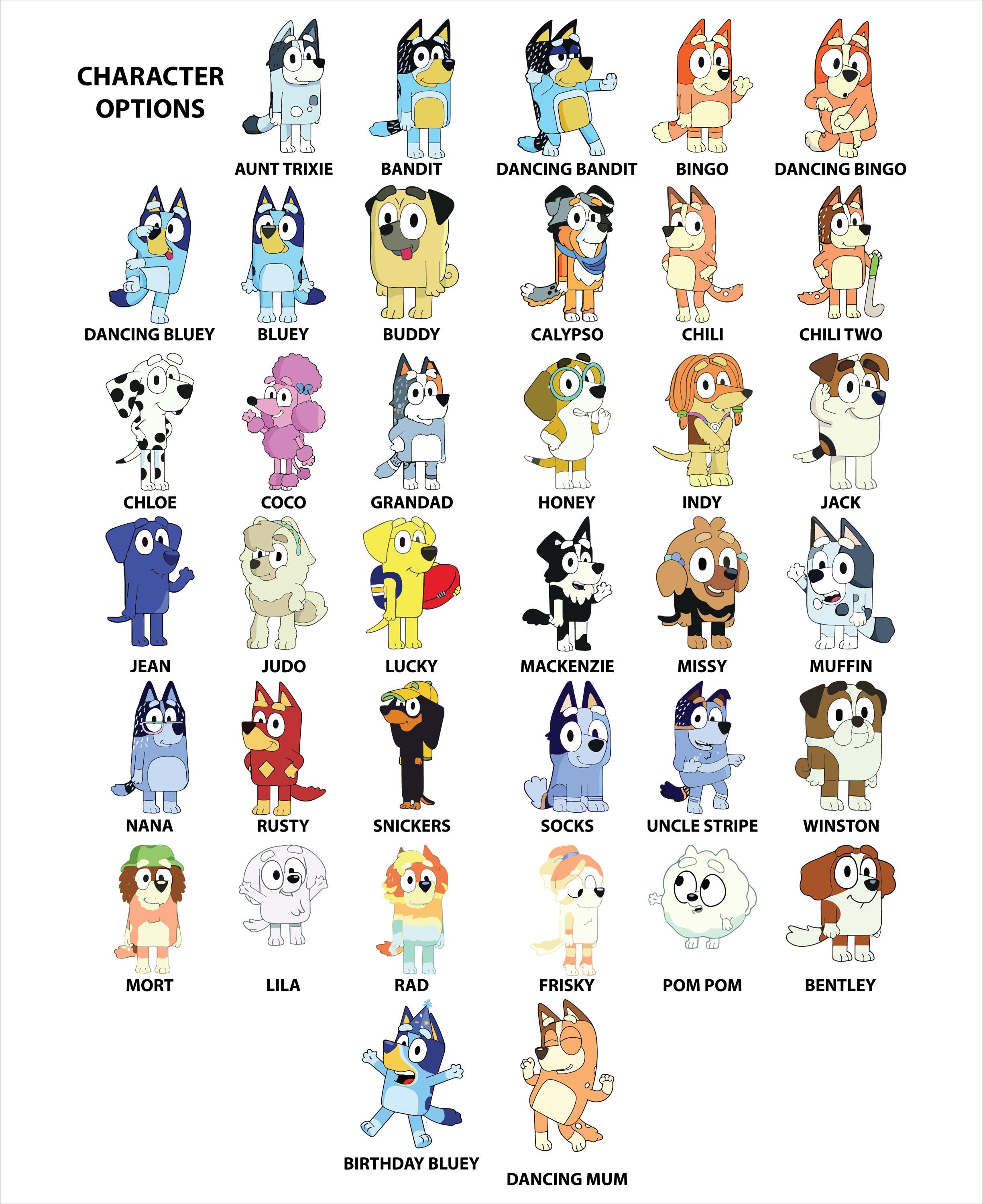 Custom Bluey Family Tees