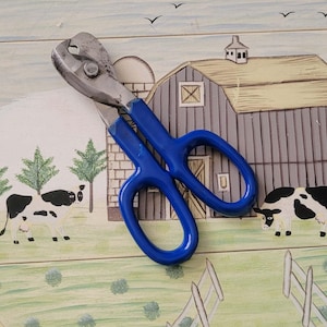 May include: A pair of blue-handled shears with a silver blade, resting on a painted farm scene. The scene includes a barn, cows, and a fence, creating a rustic, country aesthetic. The shears are designed for cutting and trimming.