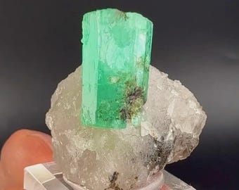 Terminated Natural High Luster Rich Green Emerald Crystal Combine On White Quartz Matrix
