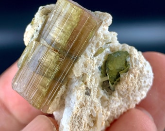 16.7 Gram, Natural Unique watermelon Tourmaline Crystal Combine With Hard Matrix