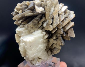 Collector Grade Natural Good luster Unique Flower Shape Muscovite Mica Combine With Feldspar