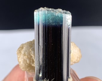 10.6 Natural Terminated Bi-Color Indicolite Tourmaline Crystal Combine With Mica.