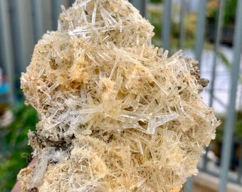 155 Gram, Natural Peach Yellow Beryl Specimen, Terminated Aquamarine Crystal Cluster.