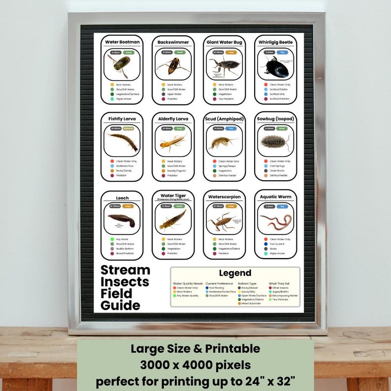 Stream Insects Identification Chart: Freshwater Macroinvertebrates ...