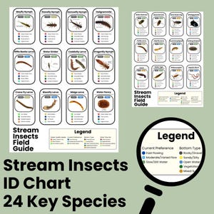 May include: A Stream Insects ID Chart with 24 key species, including Mayfly Nymph, Stonefly Nymph, and Dragonfly Nymph. The chart includes a legend for current preference and bottom type, and is a field guide.