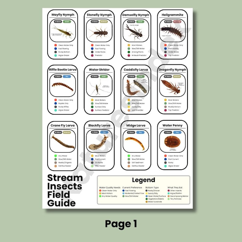 Stream Insects Identification Chart: Freshwater Macroinvertebrates ...