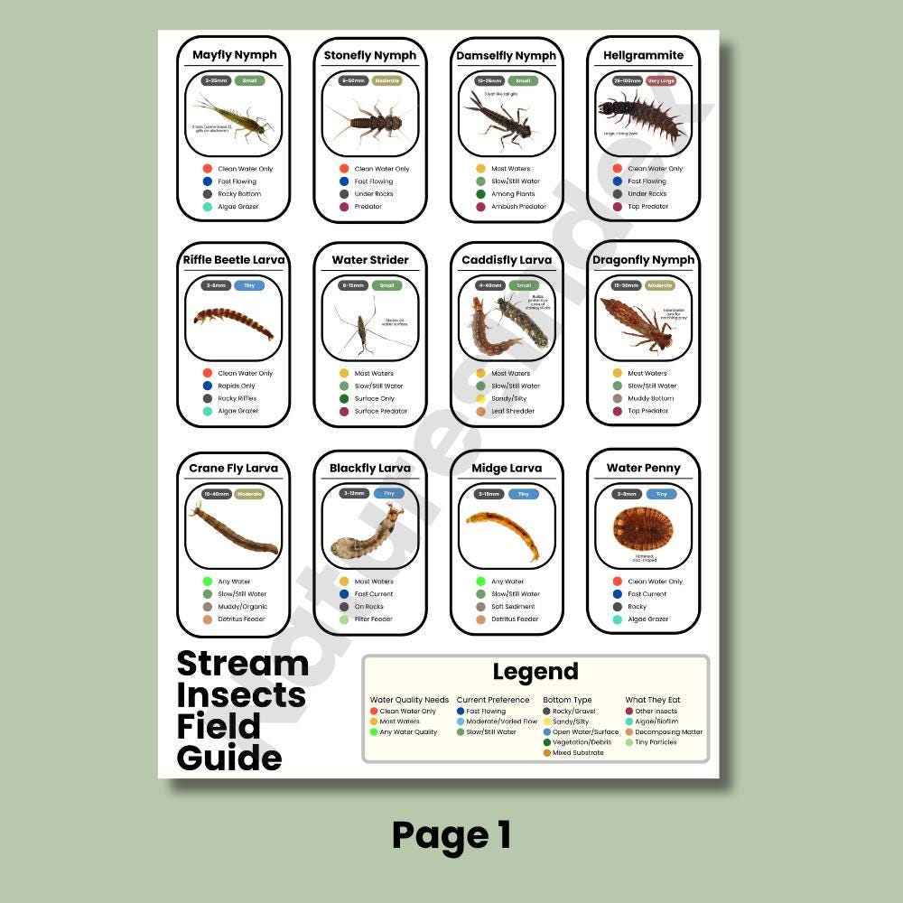 Stream Insects Chart Stream Insects Identification Chart: Freshwater Macroinvertebrates ...