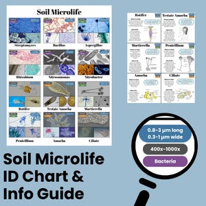 以下が含まれることがあります： 「Soil Microlife ID Chart & Info Guide」と題された詳細な教育用チャート。StreptomycesやBacillusなどの土壌微生物の画像が特徴です。サイズと倍率の詳細が記載された拡大鏡のグラフィックが含まれています。
