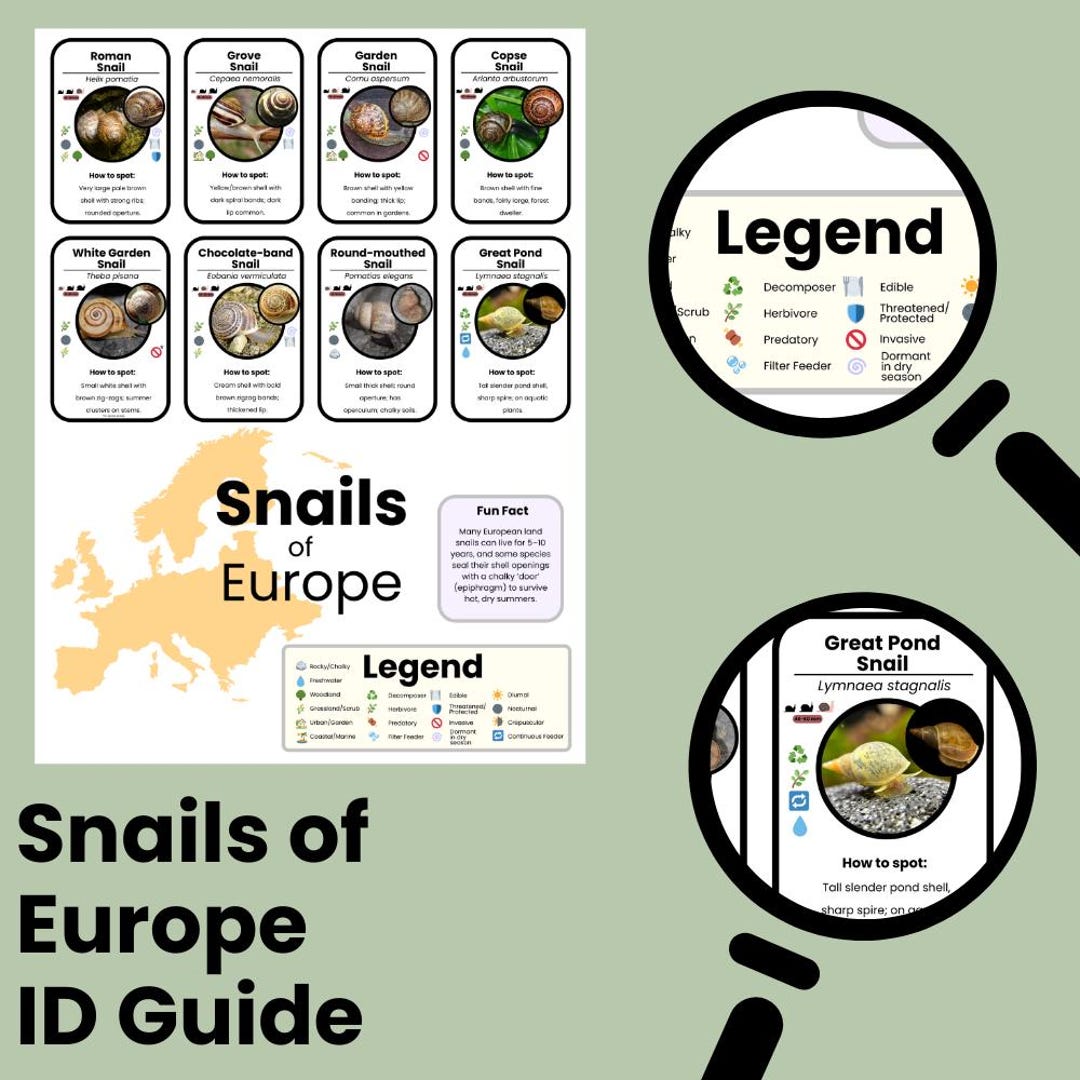 Snail ID Chart Europe Common Invasive Species Guide Printable 