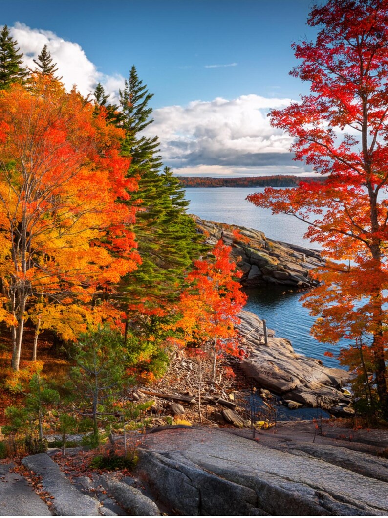 Fall in the Lake Etsy