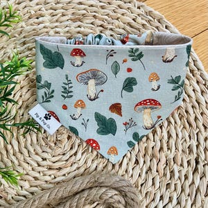 Puede incluir: Bandana azul claro para perros con un estampado de setas y hojas. La bandana presenta ilustraciones rojas, naranjas y verdes de setas y follaje. La etiqueta dice "Pip & Pup Co."