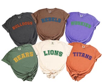 May include: Six short-sleeved t-shirts in various colors, each with a different team name in a collegiate font. The shirts are in shades of gray, brown, purple, green, cream, and orange. The team names include "BULLDOGS", "REBELS", "HUSKIES", "BEARS", "LIONS", and "TITANS".