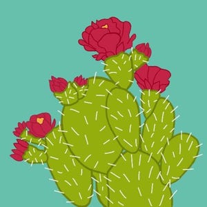 Carte de voeux cactus en fleurs|vierge|A2
