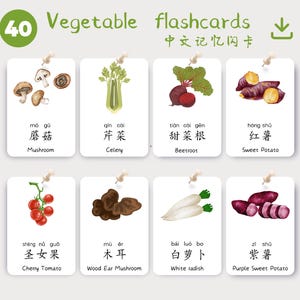 May include: Flashcards featuring watercolor illustrations of various vegetables, including mushrooms, celery, beetroot, and sweet potato. The cards have English and Chinese text, with the title "Vegetable flashcards" at the top.
