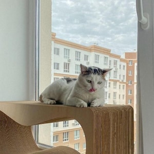 Modern krabbed, kattenkrabkarton, krabbank, kattenmand, krabkussen, duurzaam kattenmeubel om te ontspannen, krabben,