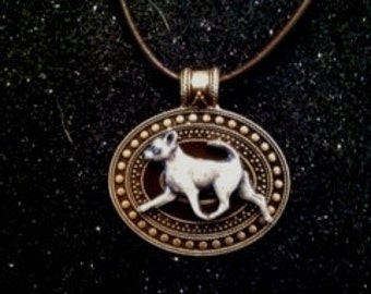 Chihuahua Brass and pewter medallion ~ awesome! men/women  TWO TONE!